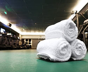 Utopia Towels Cotton Sage Green Washcloths Set - Pack of 24-100% Ring Spun Cotton, Premium Quality Flannel Face Cloths, Highly Absorbent and Soft Feel Fingertip Towels