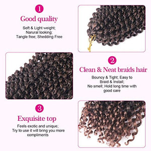 Passion Twist Hair for Braiding, Water Wave Crochet Braiding Hair Extensions